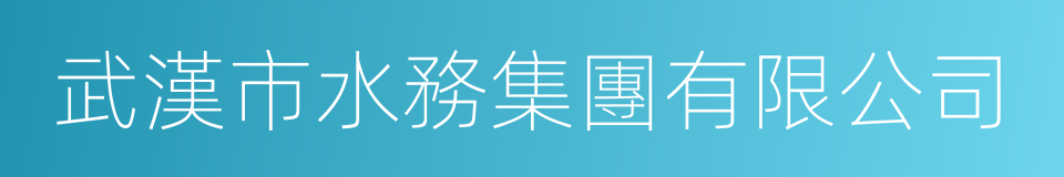 武漢市水務集團有限公司的意思