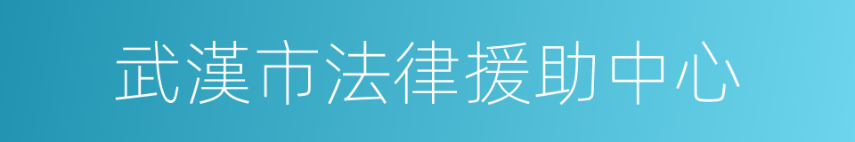 武漢市法律援助中心的同義詞