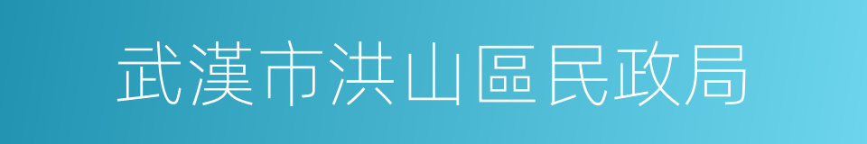 武漢市洪山區民政局的同義詞