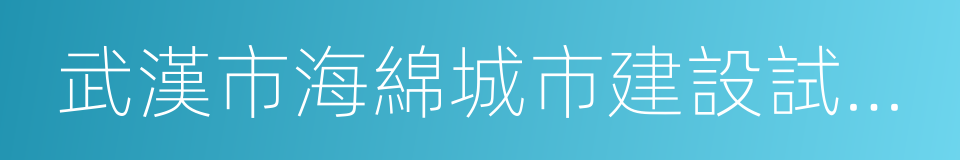 武漢市海綿城市建設試點工作實施方案的同義詞