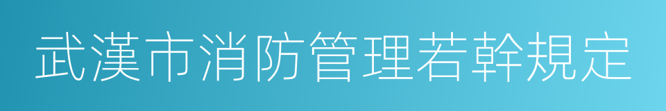 武漢市消防管理若幹規定的同義詞