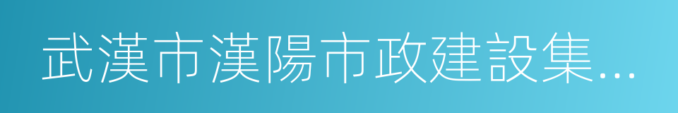 武漢市漢陽市政建設集團公司的同義詞