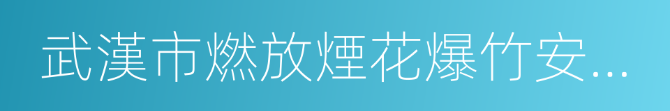 武漢市燃放煙花爆竹安全管理規定的同義詞