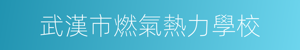 武漢市燃氣熱力學校的同義詞