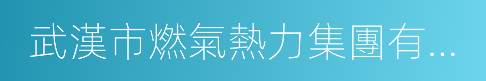 武漢市燃氣熱力集團有限公司的同義詞