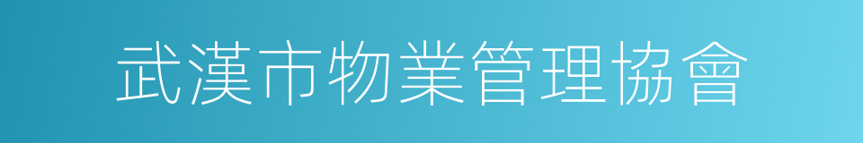 武漢市物業管理協會的同義詞