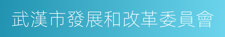 武漢市發展和改革委員會的同義詞