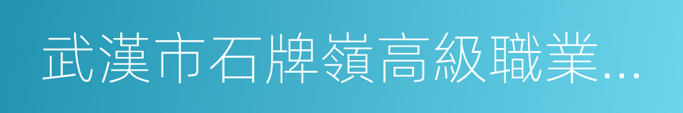 武漢市石牌嶺高級職業中學的同義詞