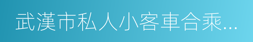 武漢市私人小客車合乘出行指導意見的同義詞