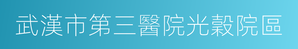 武漢市第三醫院光穀院區的同義詞