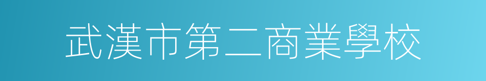 武漢市第二商業學校的同義詞