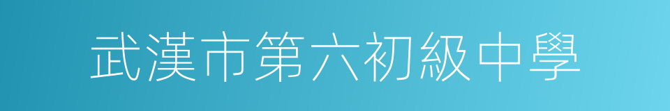 武漢市第六初級中學的同義詞