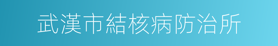 武漢市結核病防治所的同義詞