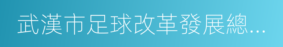 武漢市足球改革發展總體方案的同義詞