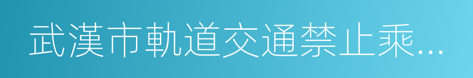 武漢市軌道交通禁止乘客攜帶物品目錄的同義詞