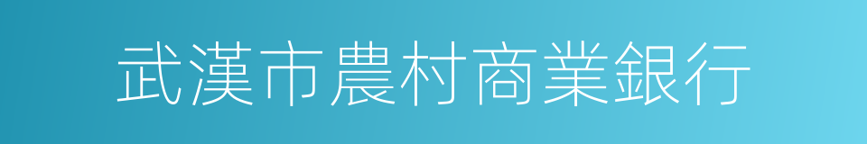 武漢市農村商業銀行的同義詞