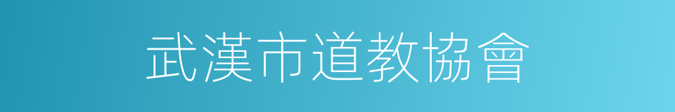 武漢市道教協會的同義詞