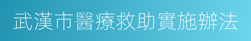 武漢市醫療救助實施辦法的同義詞