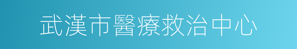 武漢市醫療救治中心的同義詞