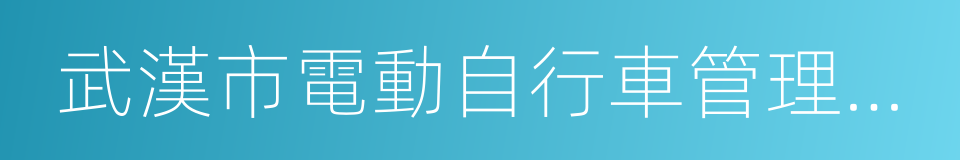 武漢市電動自行車管理暫行辦法的同義詞