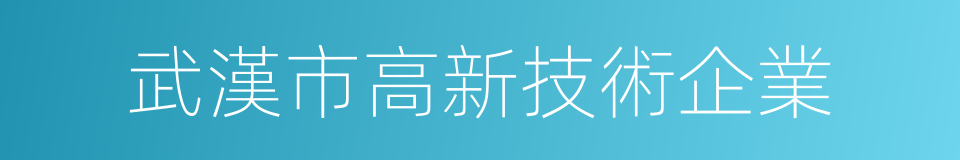 武漢市高新技術企業的同義詞