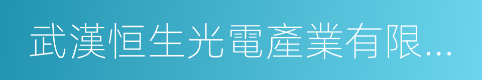 武漢恒生光電產業有限公司的同義詞