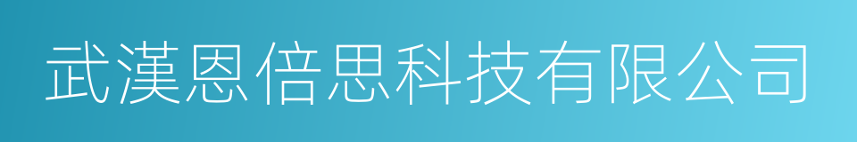 武漢恩倍思科技有限公司的同義詞