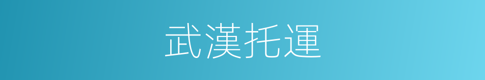 武漢托運的同義詞