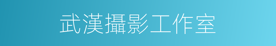 武漢攝影工作室的同義詞