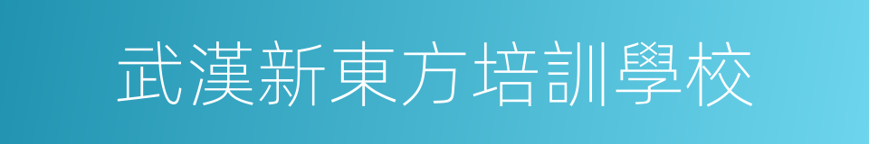 武漢新東方培訓學校的同義詞