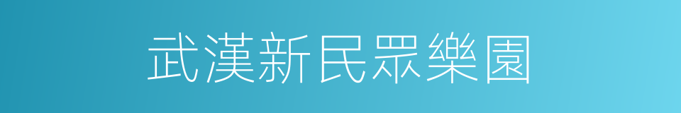 武漢新民眾樂園的同義詞