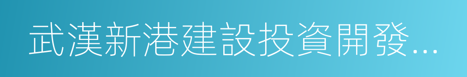 武漢新港建設投資開發集團有限公司的同義詞