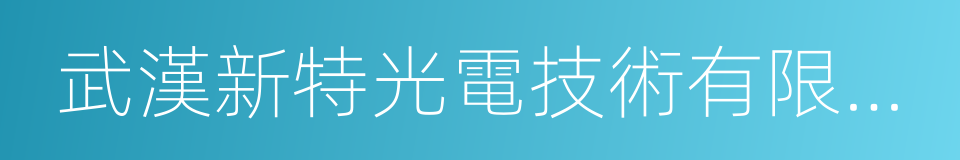 武漢新特光電技術有限公司的同義詞