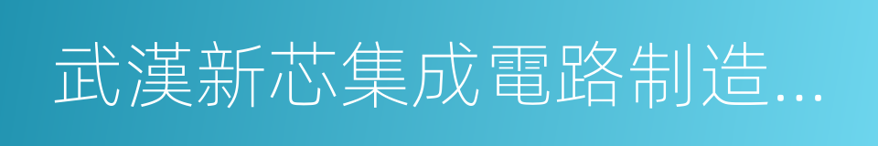 武漢新芯集成電路制造有限公司的同義詞