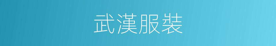 武漢服裝的同義詞