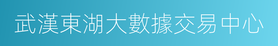 武漢東湖大數據交易中心的同義詞