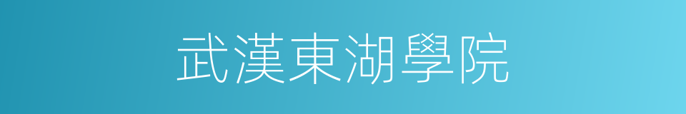 武漢東湖學院的同義詞