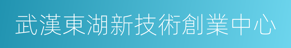 武漢東湖新技術創業中心的同義詞