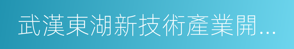 武漢東湖新技術產業開發區的同義詞