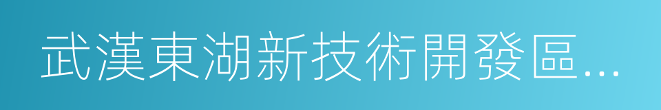 武漢東湖新技術開發區管委會的同義詞