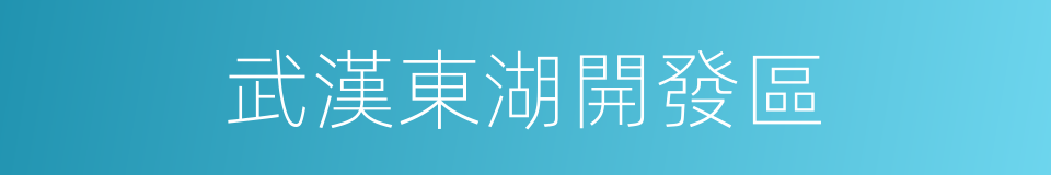 武漢東湖開發區的同義詞