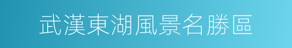 武漢東湖風景名勝區的同義詞