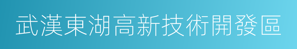 武漢東湖高新技術開發區的同義詞