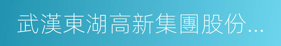 武漢東湖高新集團股份有限公司的同義詞