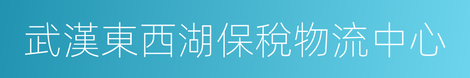 武漢東西湖保稅物流中心的同義詞