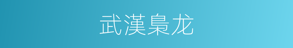 武漢梟龙的同義詞