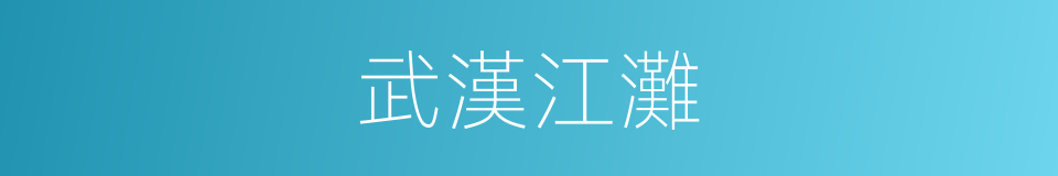 武漢江灘的同義詞