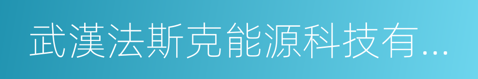 武漢法斯克能源科技有限公司的同義詞