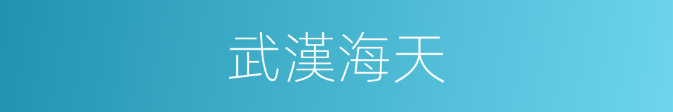 武漢海天的同義詞