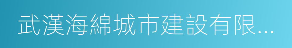 武漢海綿城市建設有限公司的同義詞